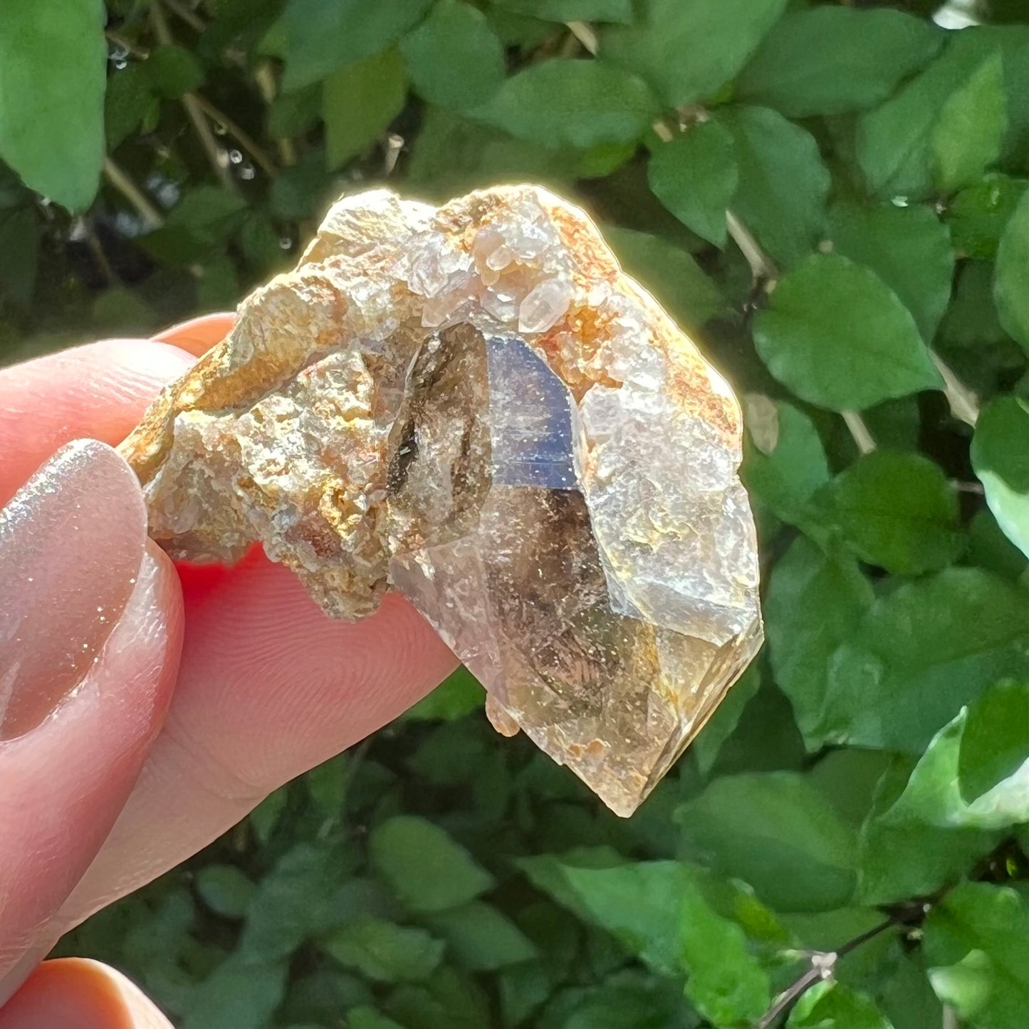 Mooralla Smoky Quartz specimen in matrix - Mooralla, Victoria