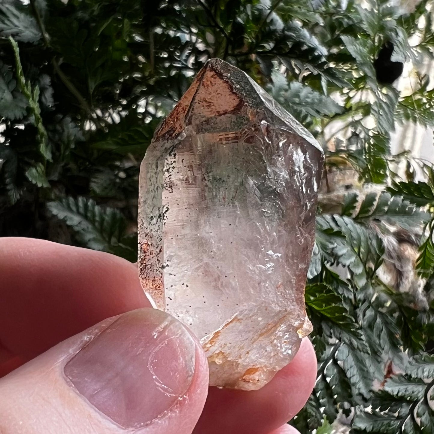 Natural Lemurian Quartz Point with Hematite & Chlorite Inclusions | Himalayan region