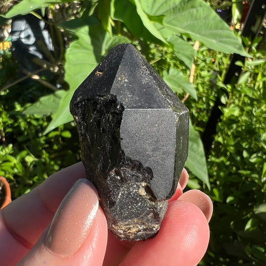 Morion Black Quartz Specimen - double terminated