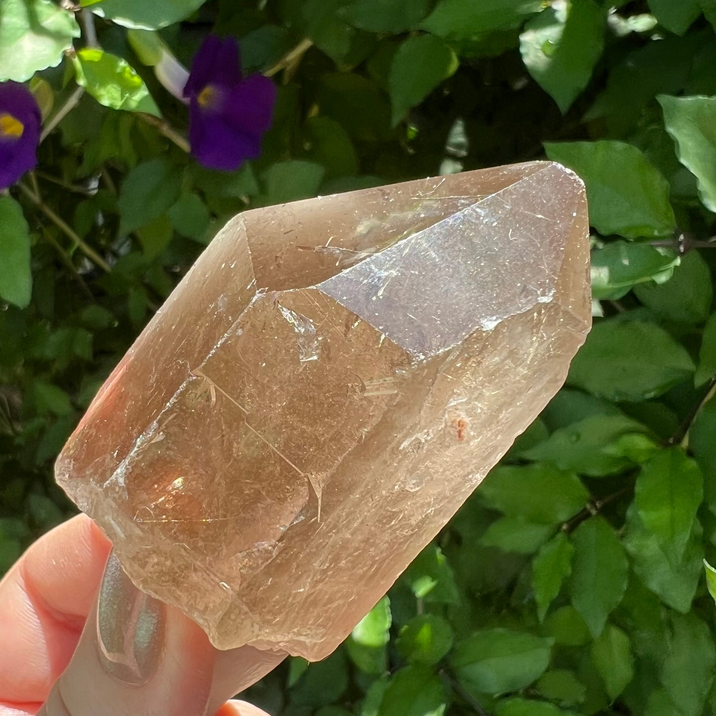 Rutilated Smoky Quartz Point |  Brazil | Natural and unpolished
