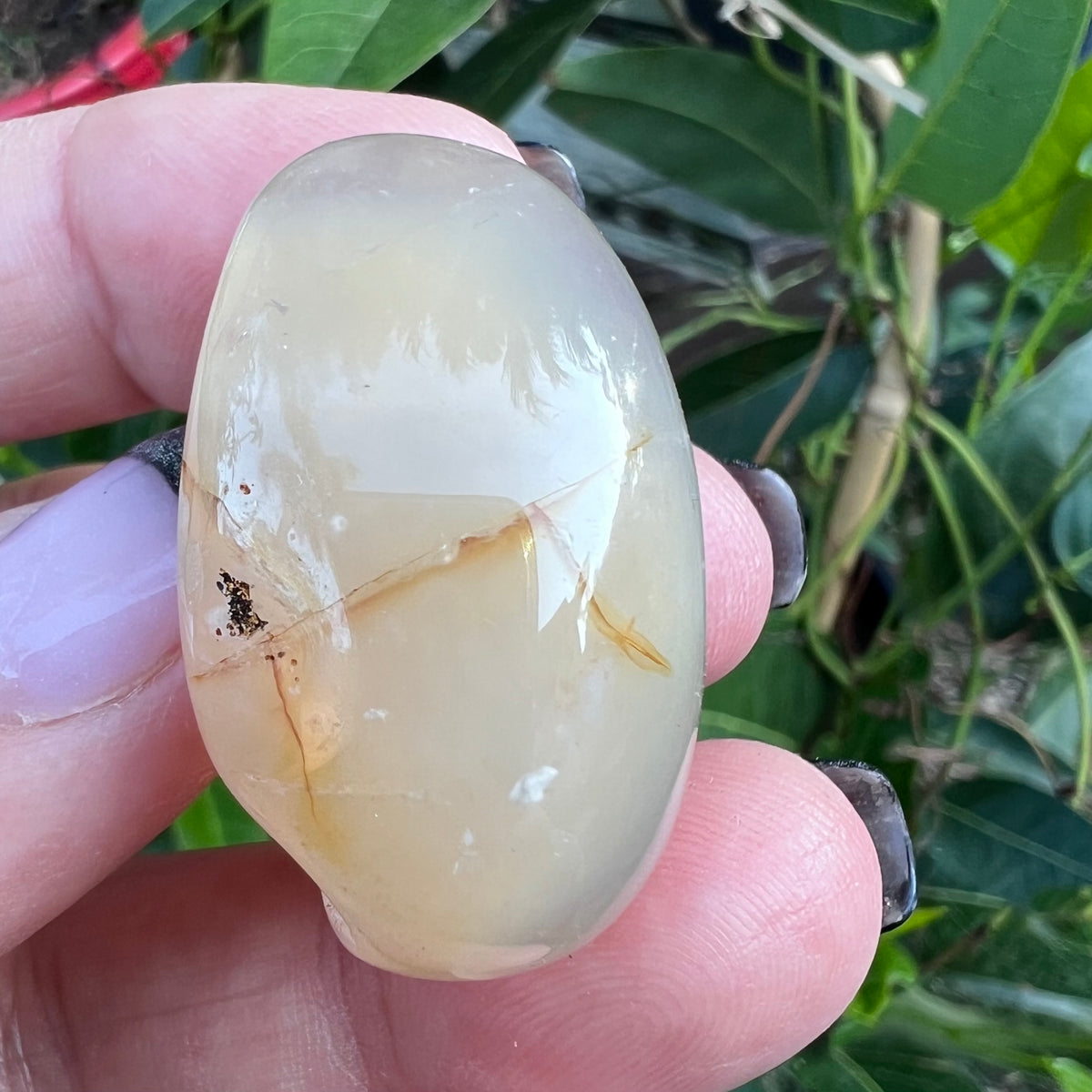 Natural iron staining through the highly polished druzy egg ovoid