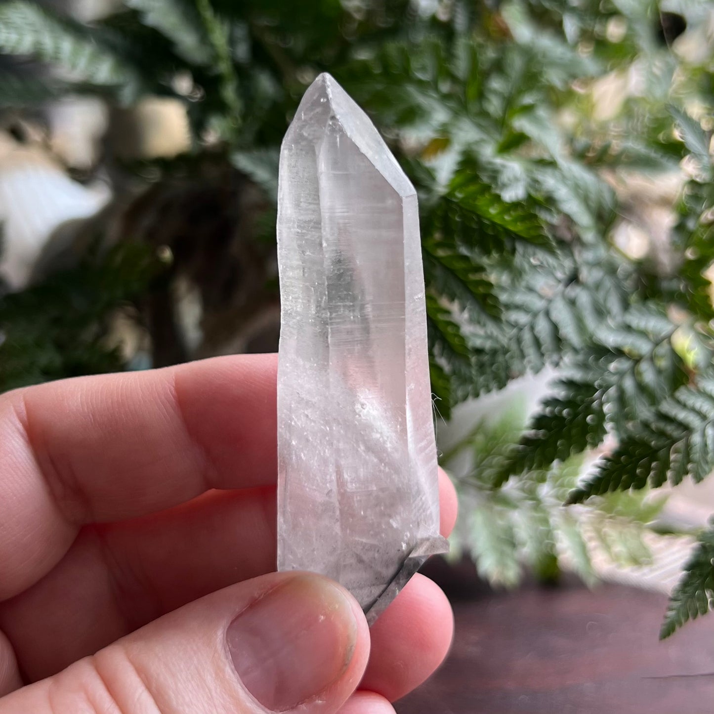 Double Terminated Black Phantom Quartz Point