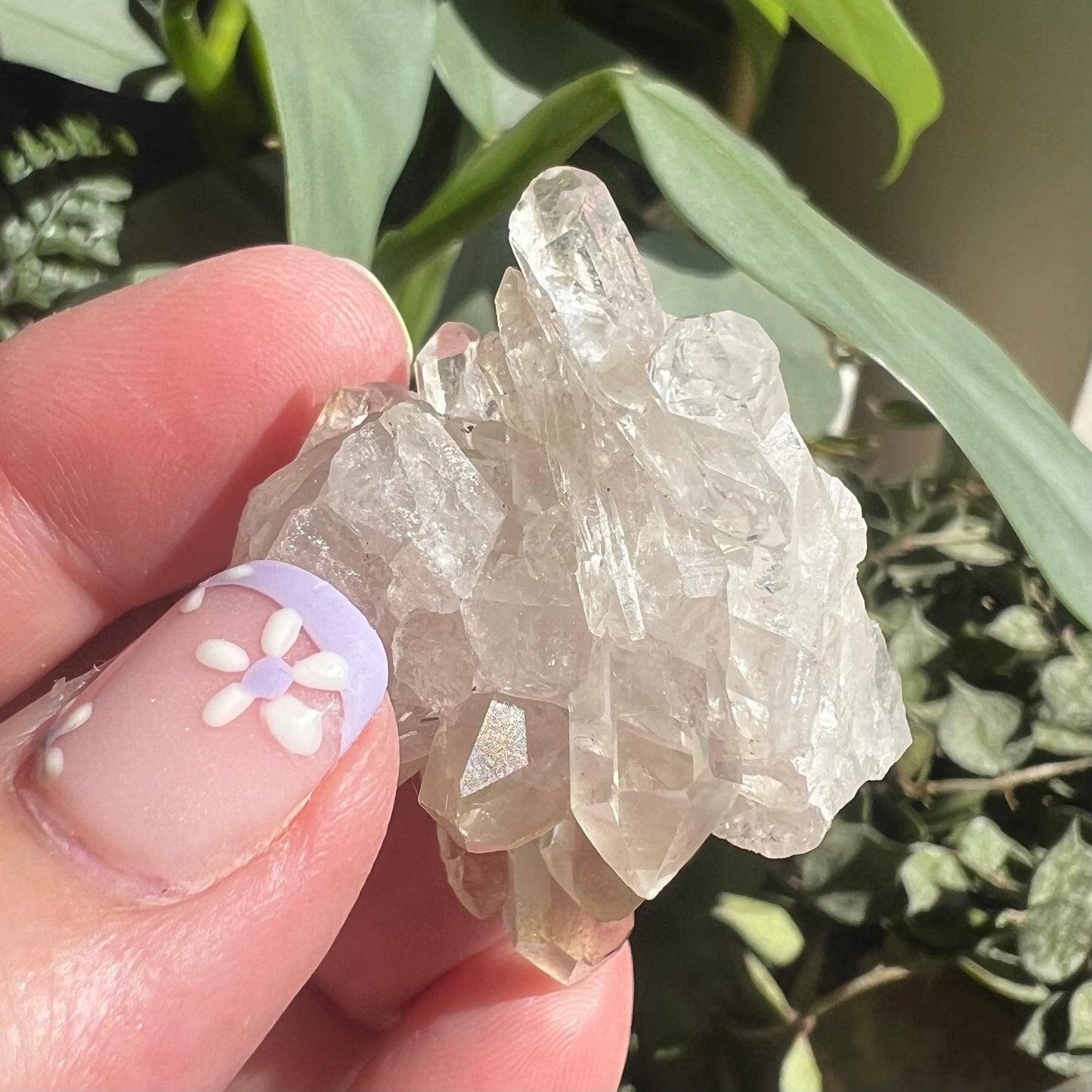 Small Golden Healer Quartz Cluster (Brazil)