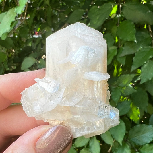 Peach Stilbite in Mirror Apophyllite Zeolite specimen - Jalgoan District, Maharashtra, India