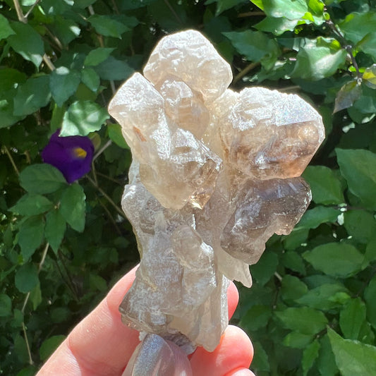 Elestial Stalactite of Clear Quartz with DT Smoky Quartz - Inner Mongolia