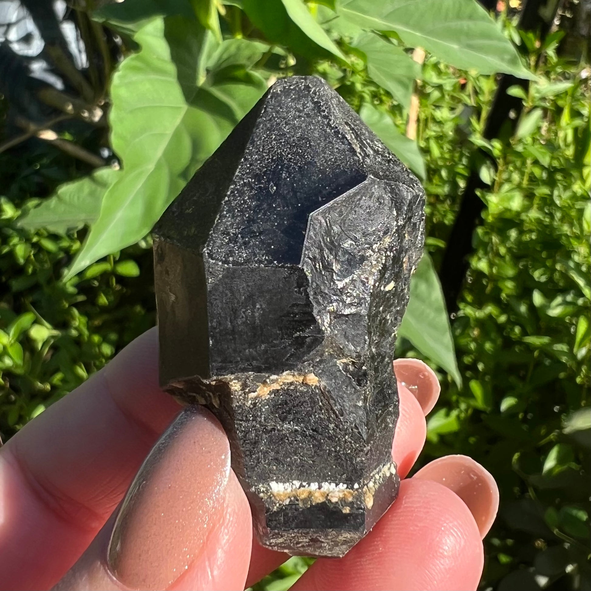 Morion Quartz Specimen | China | double terminated Black Quartz