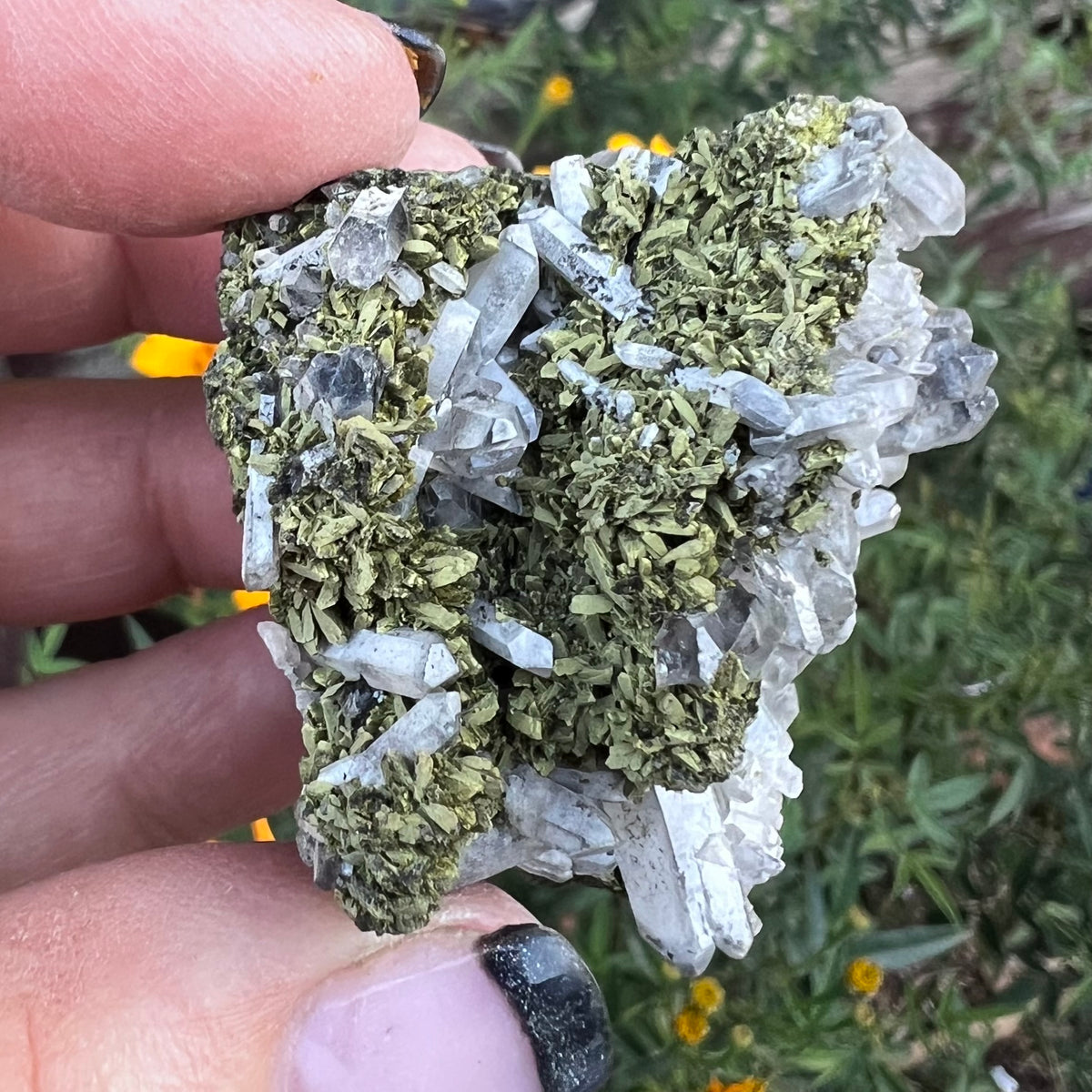 A fairy garden lawn of Epidote scattered among flowers of Clear Quartz points. Mineral specimen from China 