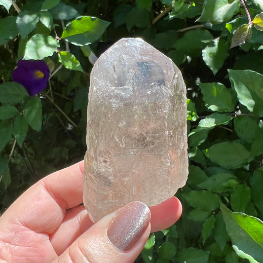 Smoky Quartz Point - Brazil - 9-sided face | Glyphs | Closure of Spiritual/Emotional Journeys | Compassion & Altruism