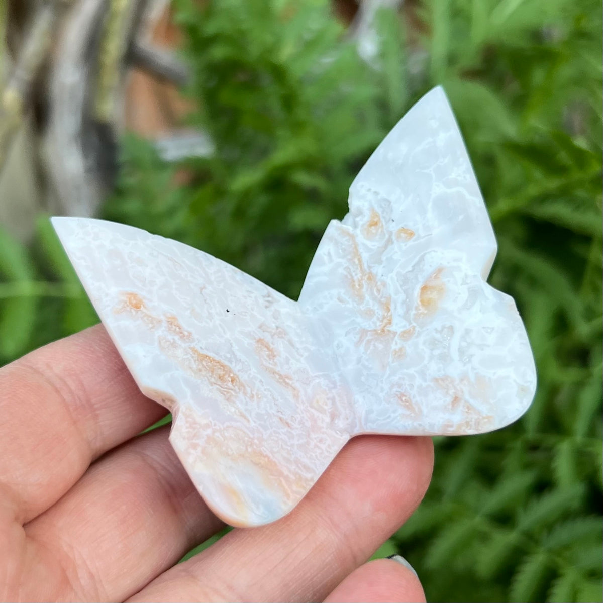 Plume Agate 3D Butterfly Carving