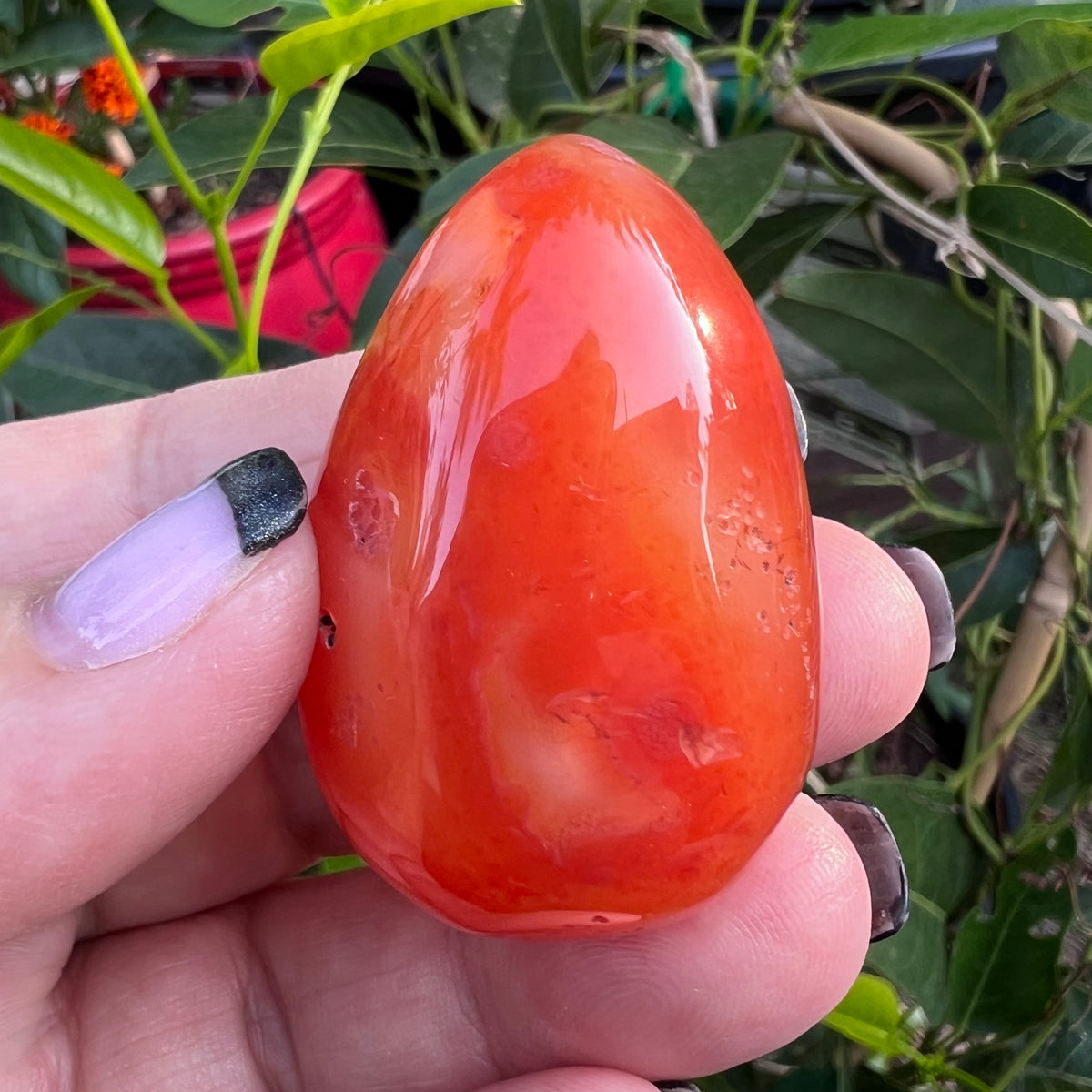 Polished Carnelian Agate Egg Geode|Palm Stone with Quartz Druzy