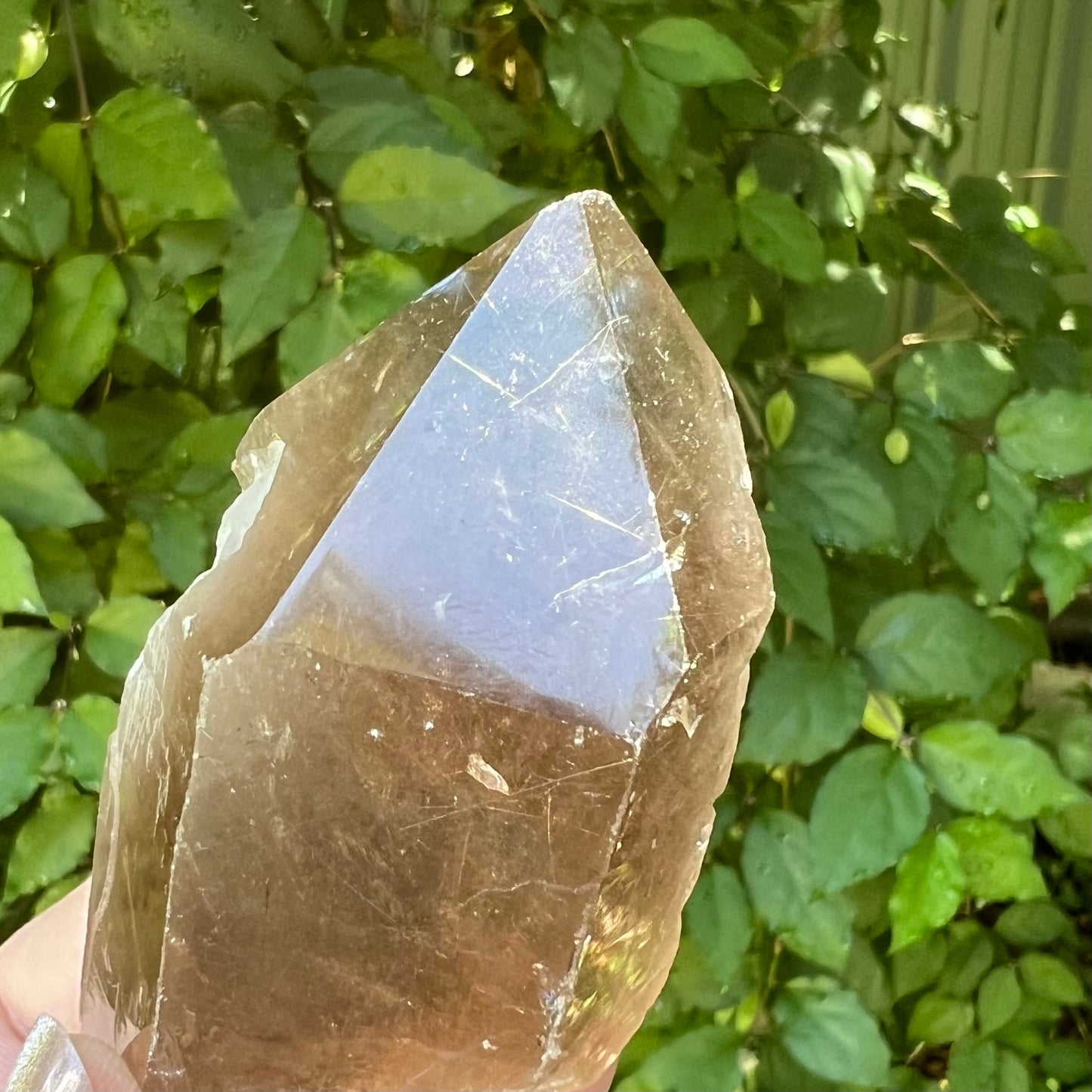 Rutilated Smoky Quartz Point |  Brazil | Natural and unpolished