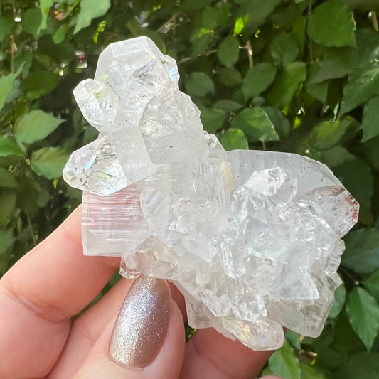 Mirror Apophyllite Cluster with Hematite inclusions - Jalgoan District, Maharashtra, India