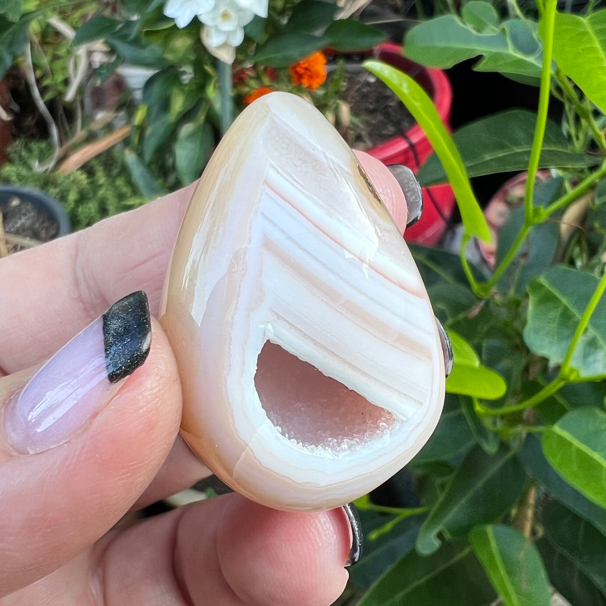 beautifully polished banded flower agate with sparkling druzy cave