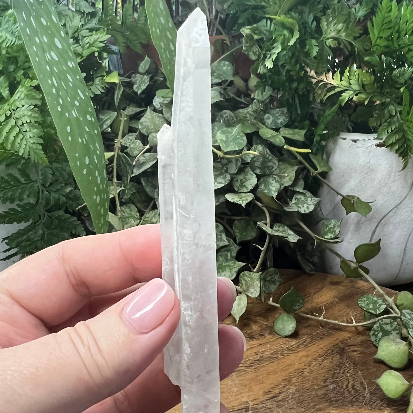 Inner Mongolian Quartz Tabby Point with wand rider