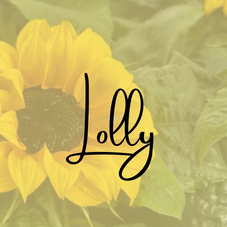 Lolly - 9/10 | 17/10 | 24/10 | 3/11