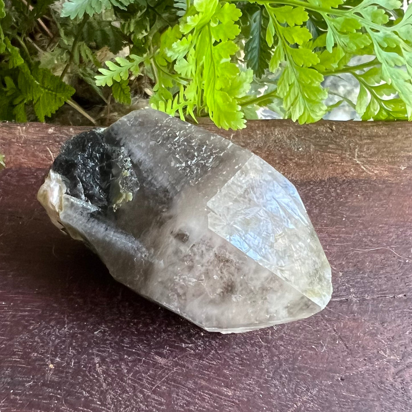 Morion Black Quartz with Clear Smoky Quartz Phantom Cap | China