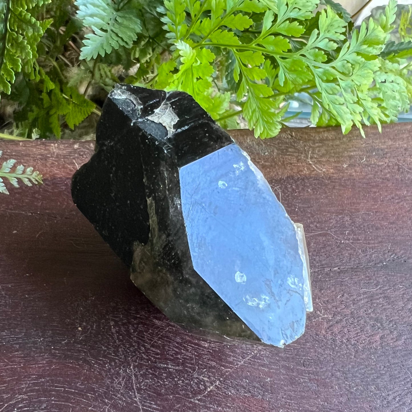 Morion Smoky Quartz | Black Quartz with Smoky Quartz Cap | Fujian, China