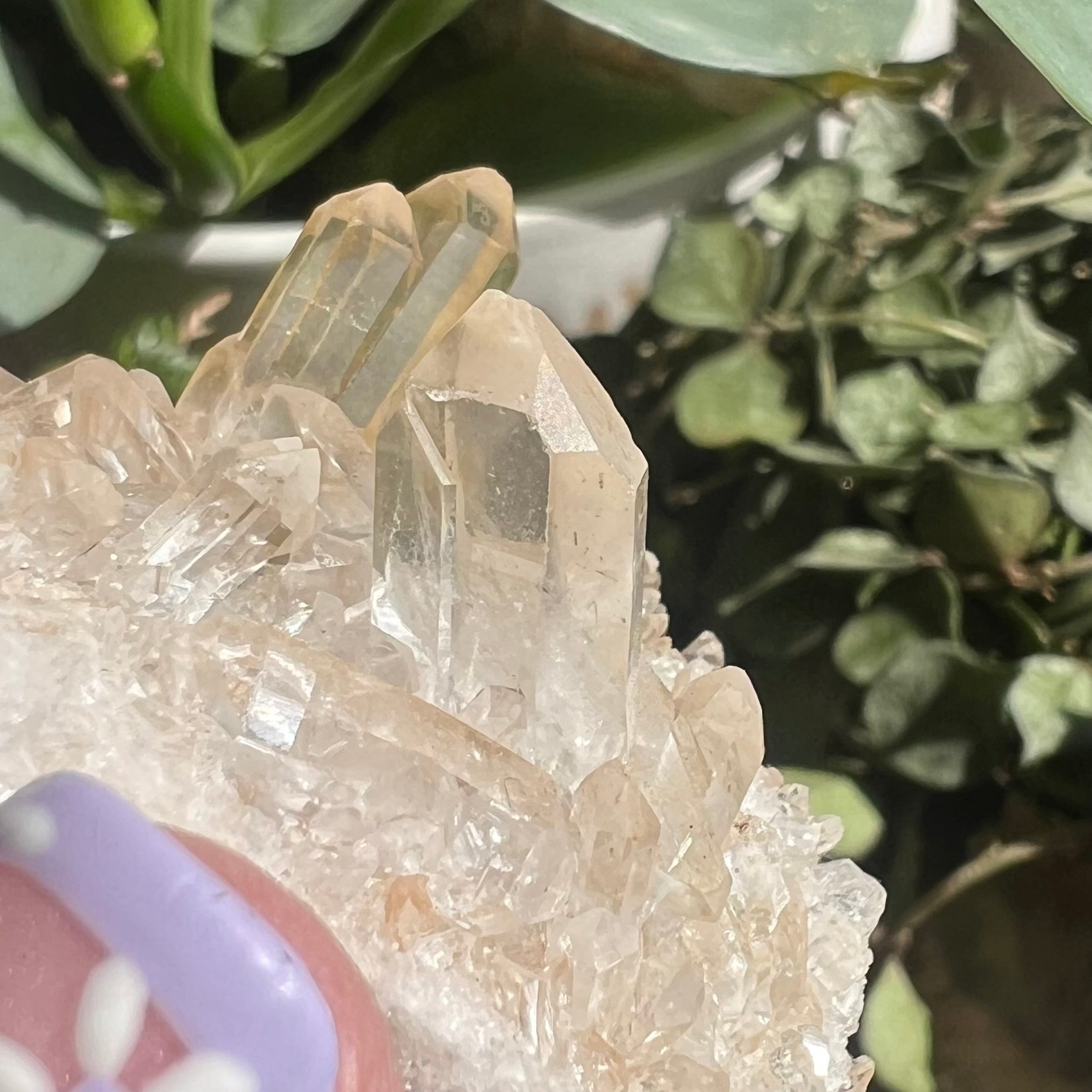 Golden Healer Quartz Cluster (Brazil)