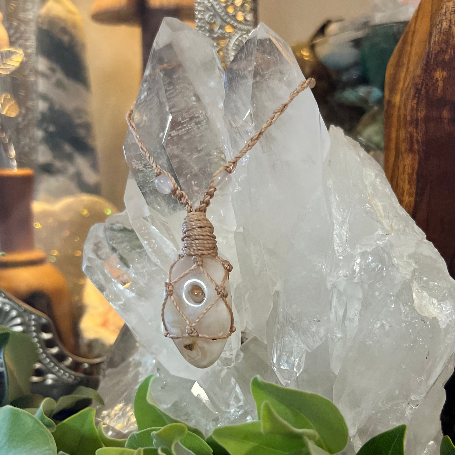 Lynette’s Special Order