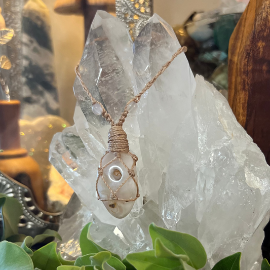 Lynette’s Special Order