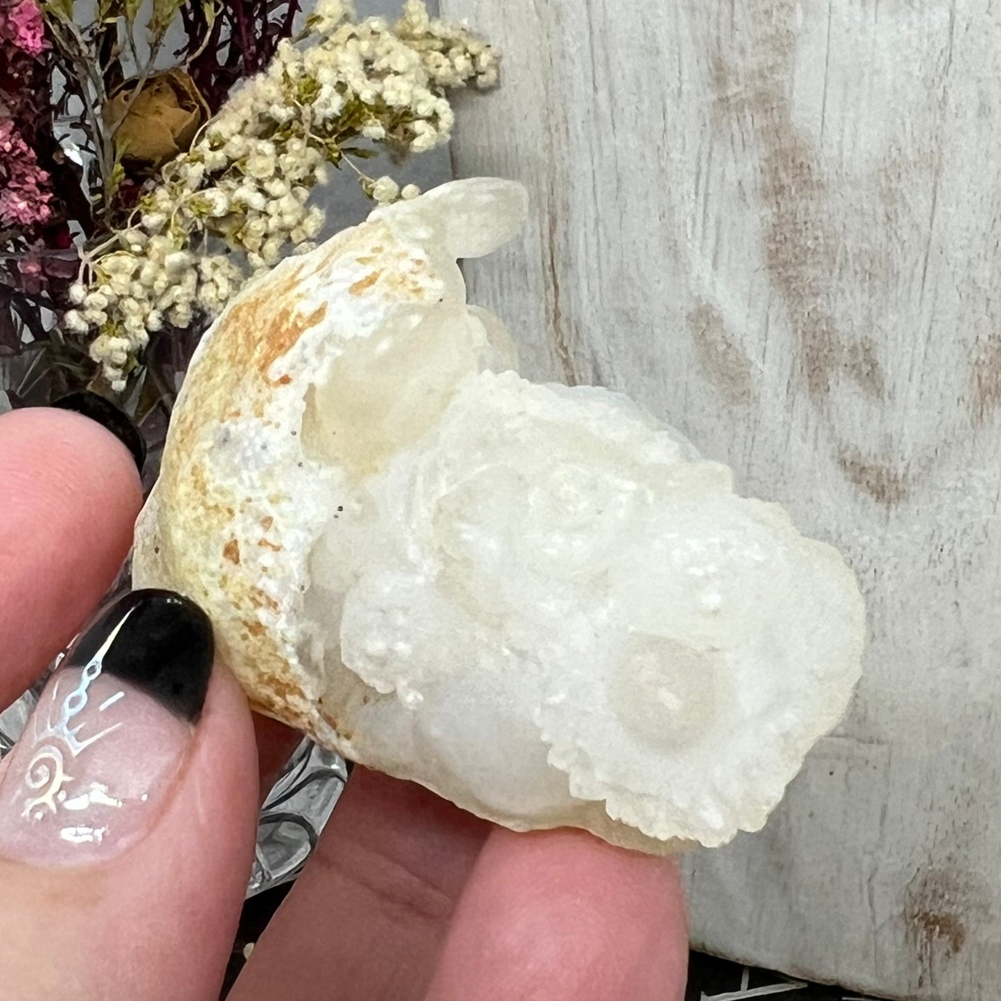 Chalcedony Mamillary Nodules - Botryoidal ‘Womb Stone’ Chalcedony - Morocco