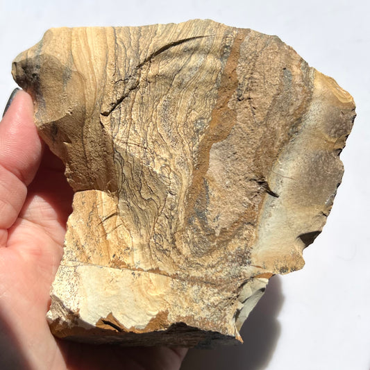 Picture Jasper Rough Specimen