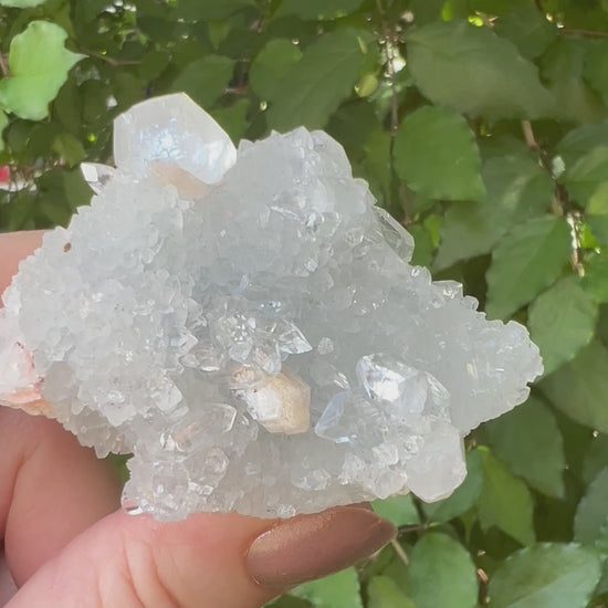 Stilbite specimens in mirror apophyllite cluster zeolite specimen