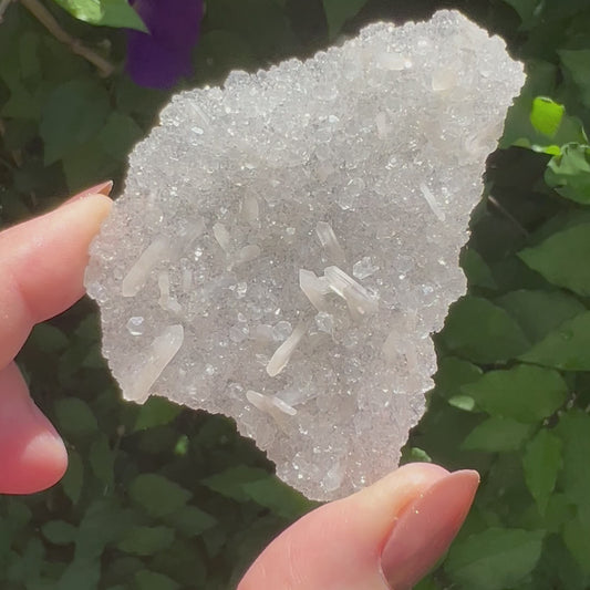 Snowflake Apophyllite | Sugar Druzy Apophyllite - Lusterous & High Grade | Jalgoan District, Maharashtra, India -