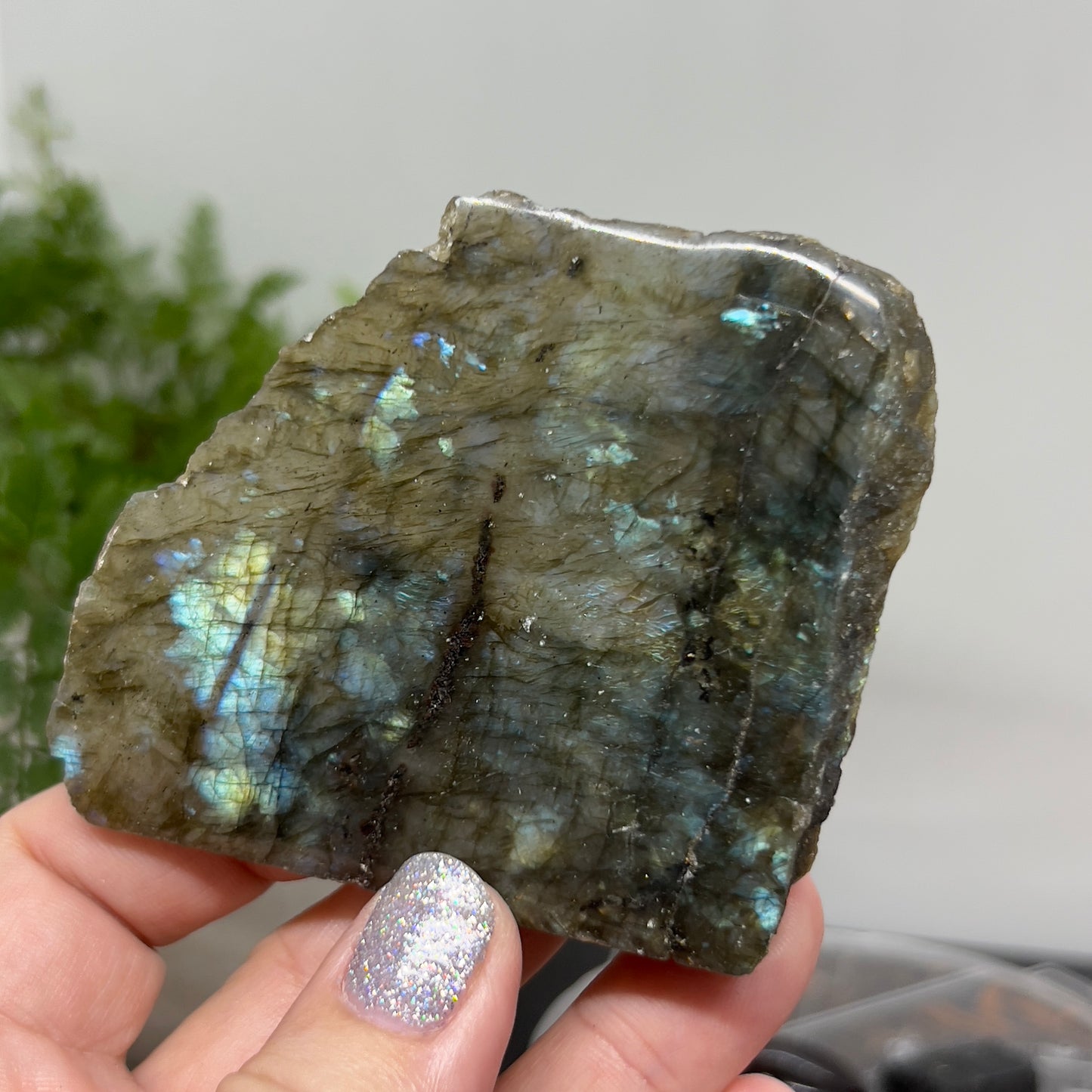 Labradorite - Flashy polished raw Specimen