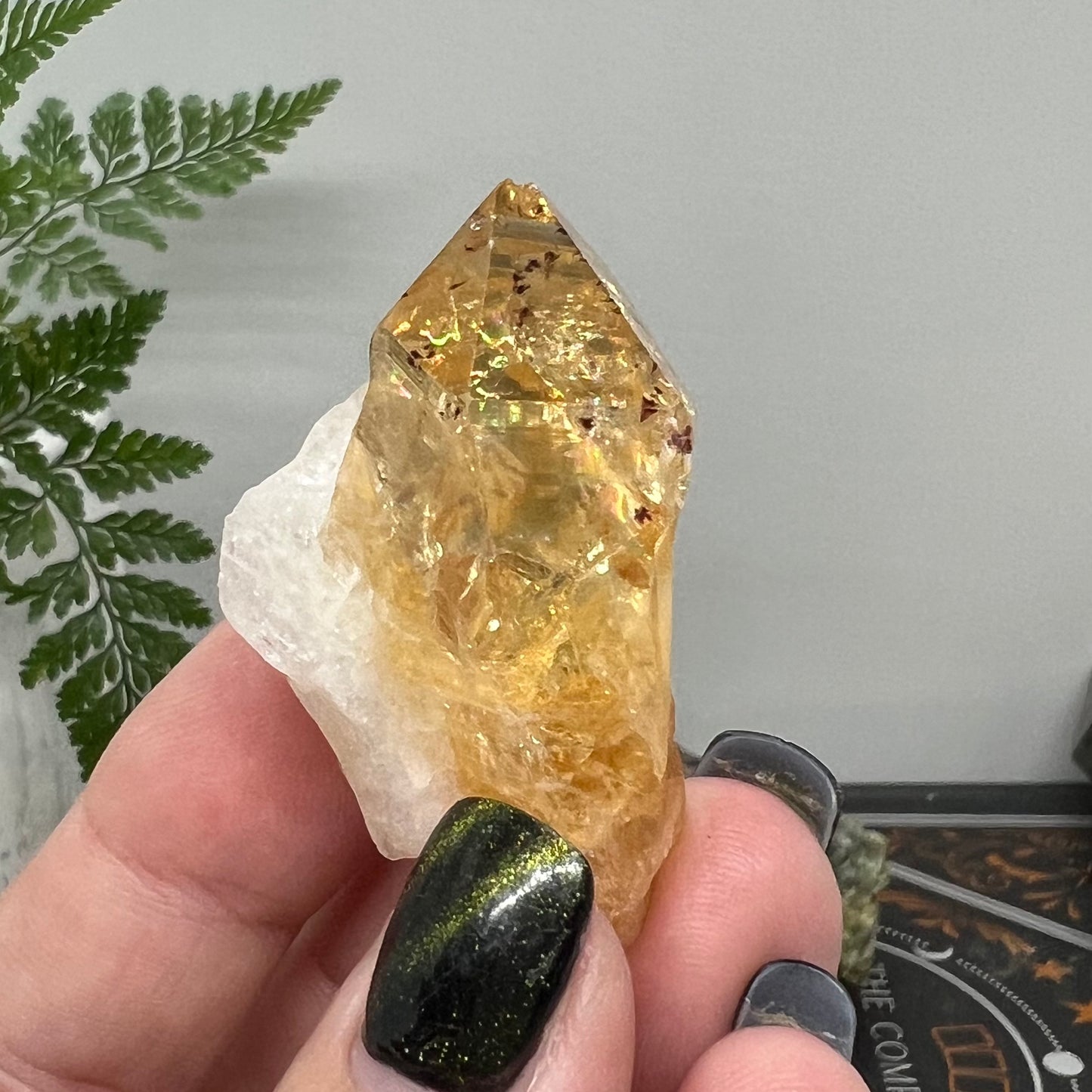 Citrine Raw Point (heat treated)