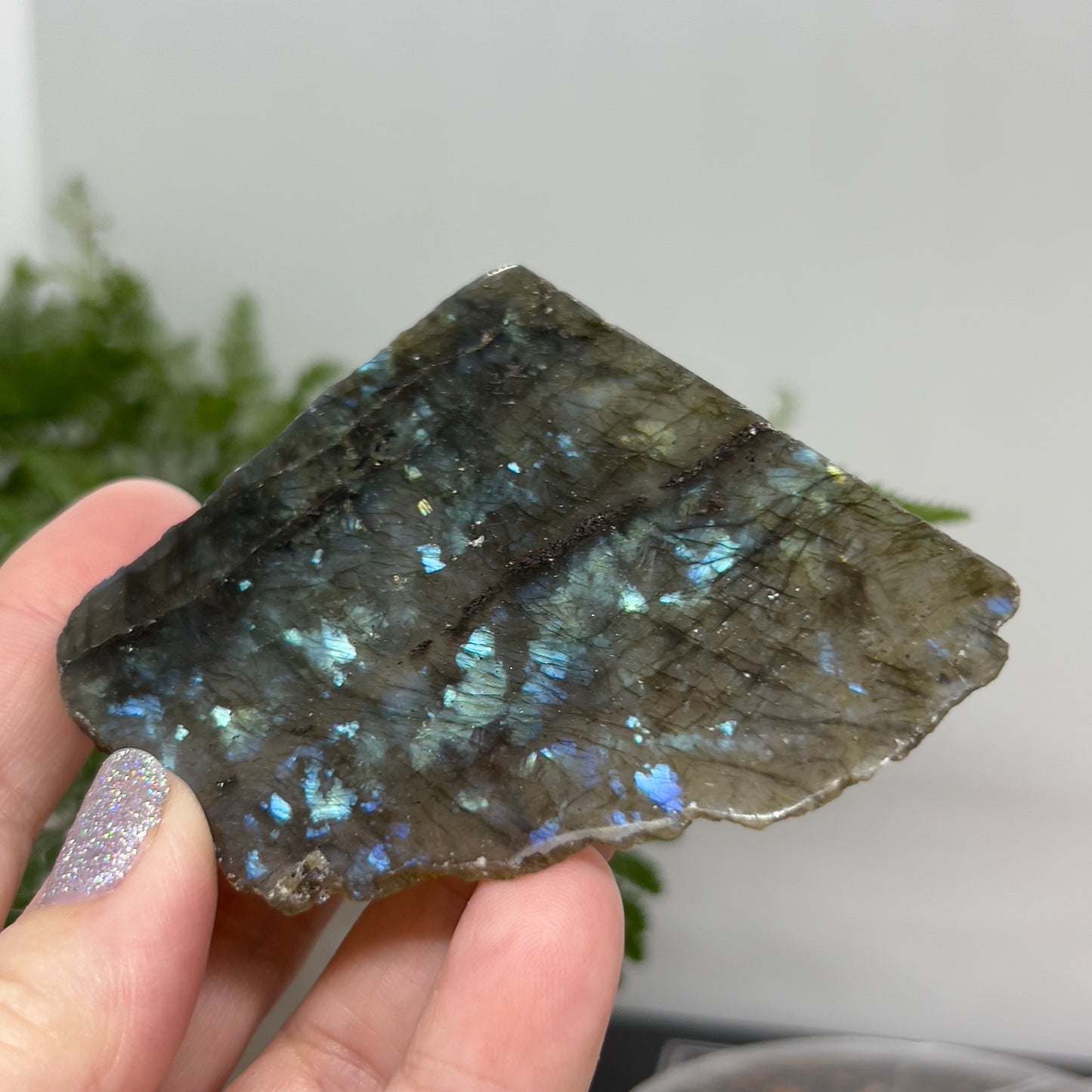 Labradorite - Flashy polished raw Specimen