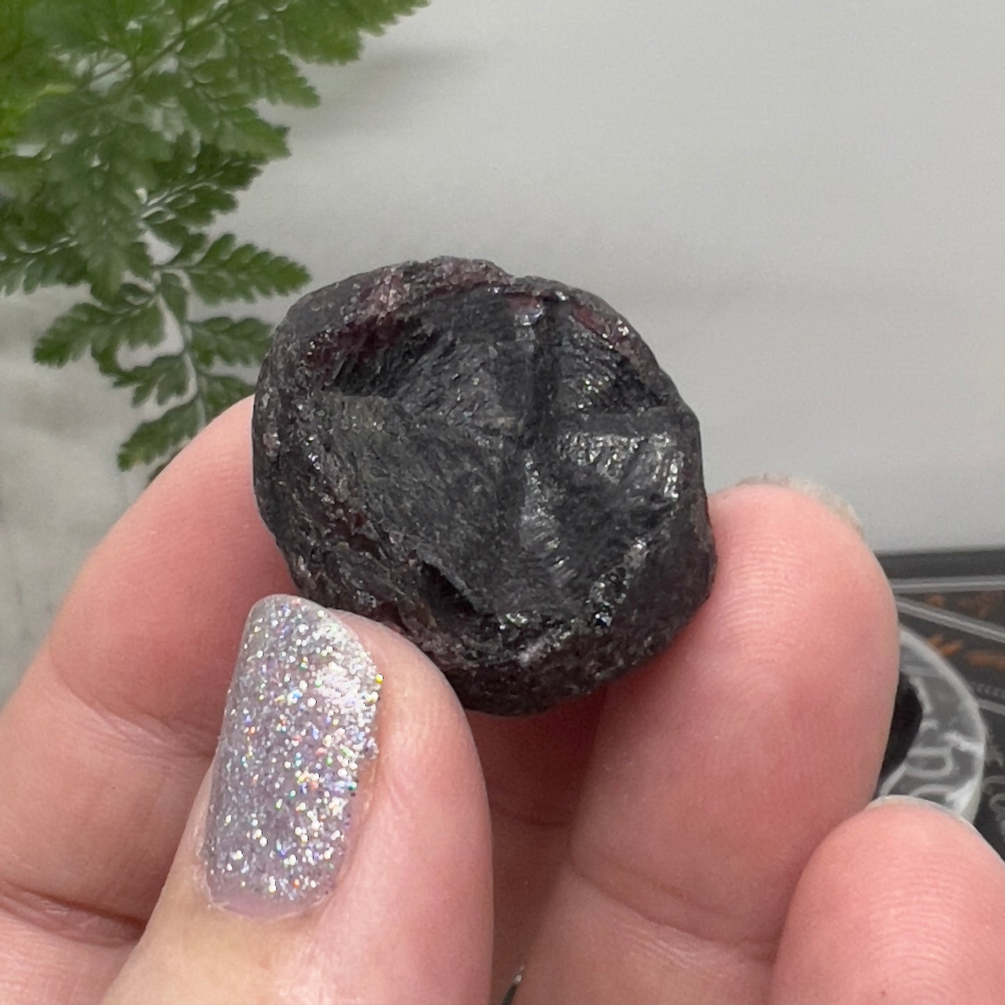 Pyrope Garnet - Raw