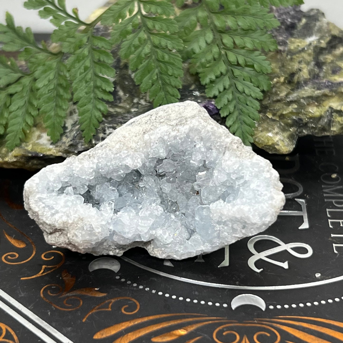 Celestite Geode Cluster - Sparkling and sweet, silvery-blue magic