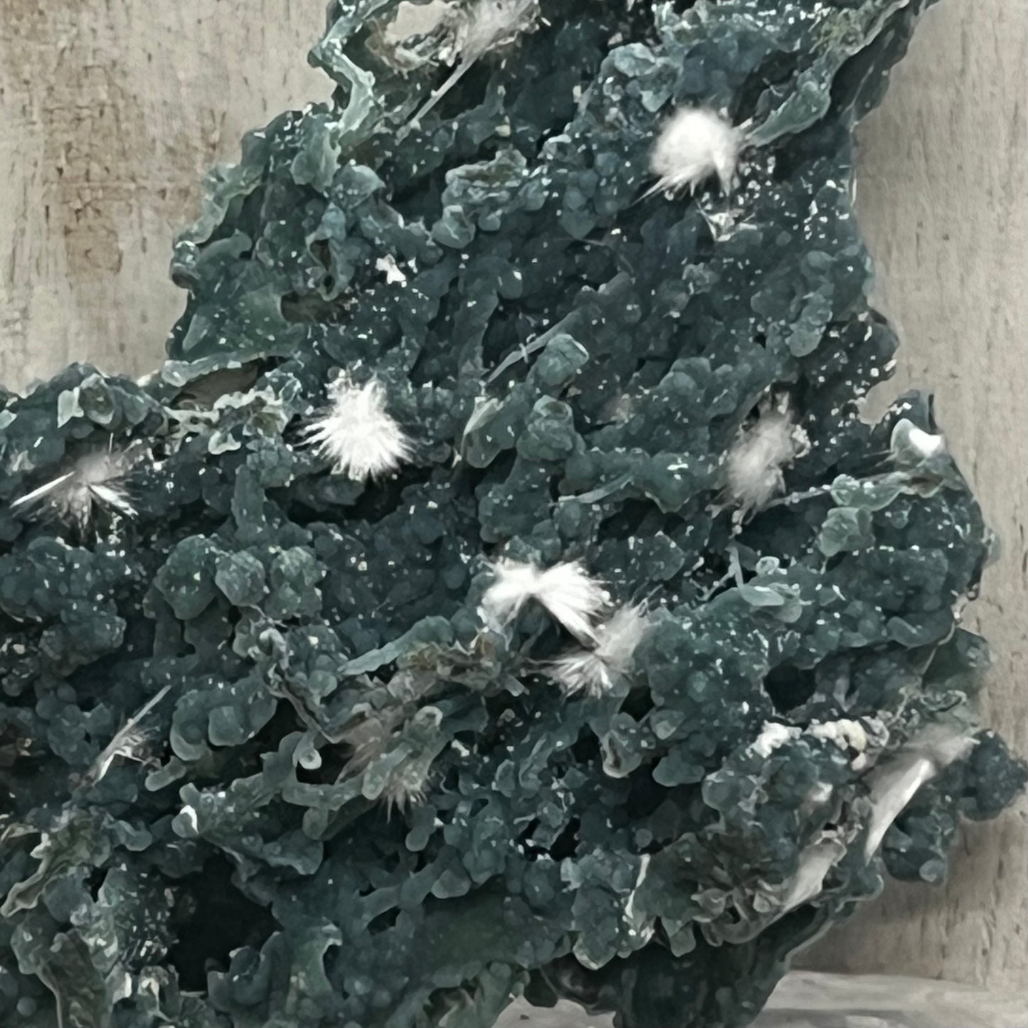Green Chalcedony Coral Specimen with Okenite
