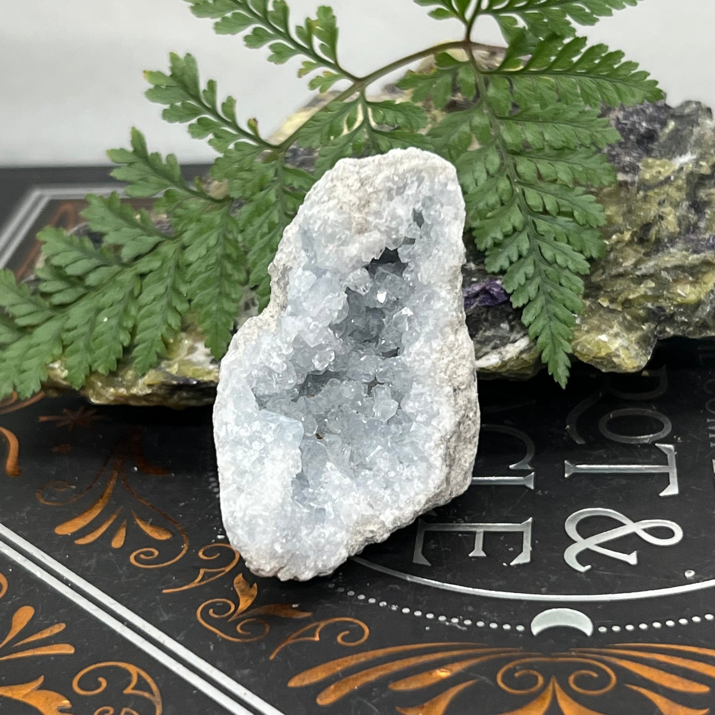 Celestite Geode Cluster - Sparkling and sweet, silvery-blue magic